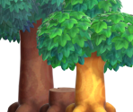 Oak Trees (Museum) - Animal Crossing: New Horizons