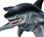 Man-eating Black Shark - Yu-Gi-Oh! The Duelists of the Roses