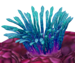 Hitodenchak - Yu-Gi-Oh! The Duelists of the Roses