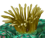 Armored Starfish - Yu-Gi-Oh! The Duelists of the Roses