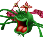 Laughing Flower - Yu-Gi-Oh! The Duelists of the Roses