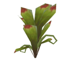 Plant 2 - Tak 2: The Staff of Dreams