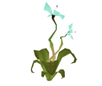Plant 3 - Tak 2: The Staff of Dreams