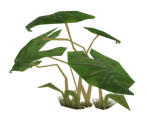 Plant 4 - Tak 2: The Staff of Dreams