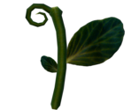 Rope Vine - LittleBigPlanet 3 (Prototype)