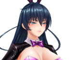 Igawa Asagi (Bunny Girl) - Action Taimanin