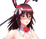 Mizuki Shiranui (Bunny Girl) - Action Taimanin