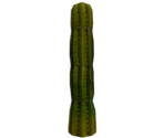Cacti - LittleBigPlanet PS Vita