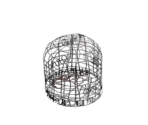 Cages - Observer