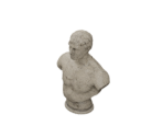 Bust - Observer