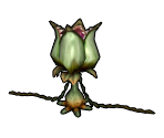 Man-Eating Plant - Dark Cloud