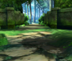 Forest - Puzzle & Dragons Z
