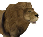 Lion - Wildlife Park 2
