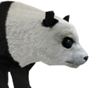 Panda - Wildlife Park 2