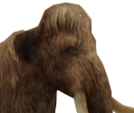 Mammoth - Wildlife Park 2