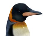 Penguin - Wildlife Park 2