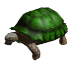 African Spurned Tortoise - Bear Simulator