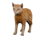 Cat (Orange) - Bear Simulator