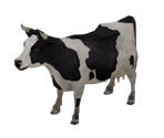 Cow - Bear Simulator