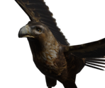 Eagle - Bear Simulator