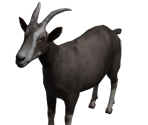Goat - Bear Simulator