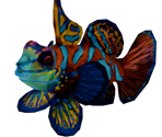 Mandarin Fish - Bear Simulator