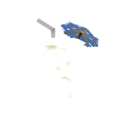 Tiki Drink - Pet Zombies