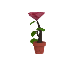 Flower Pot - Pet Zombies