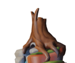 Splash Mountain - Disney Magic Kingdoms