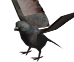 Pigeon - Bear Simulator
