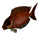 Pond Fish - Bear Simulator