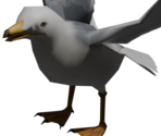 Seagull - Bear Simulator