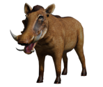 Warthog - Bear Simulator