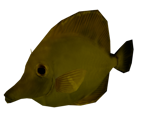 Yellow Tang - Bear Simulator