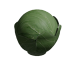 Cabbage - Influent