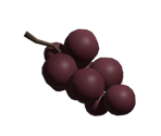 Grapes - Influent