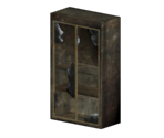 Display Case - Fallout: New Vegas