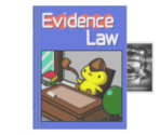 Evidence Law Book & Lana Skye's Picture - Phoenix Wright: Ace Attorney Trilogy