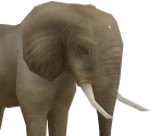 Elephant - RollerCoaster Tycoon 3