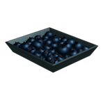 Blueberries - Influent