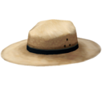 Cowboy Hat - Another Code: R - A Journey Into Lost Memories