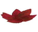 Red Herb - Another Code: R - A Journey Into Lost Memories