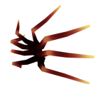 Arachnid Legs - KoGaMa