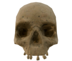 Skull - LittleBigPlanet 3