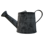 Watering Can - LittleBigPlanet 3