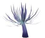 Coral - LittleBigPlanet 3
