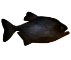 Pirhana - LittleBigPlanet