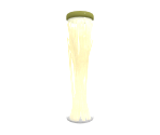 Pasta - Influent
