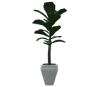 Plants - Rec Room