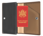 Akbey Hicks's Travel Wallet - Ace Attorney Investigations Collection